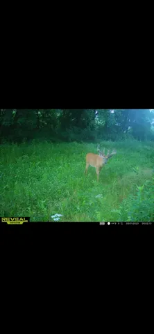 $499,900 | S870 Julson Ridge Road, Independence, WI 54747