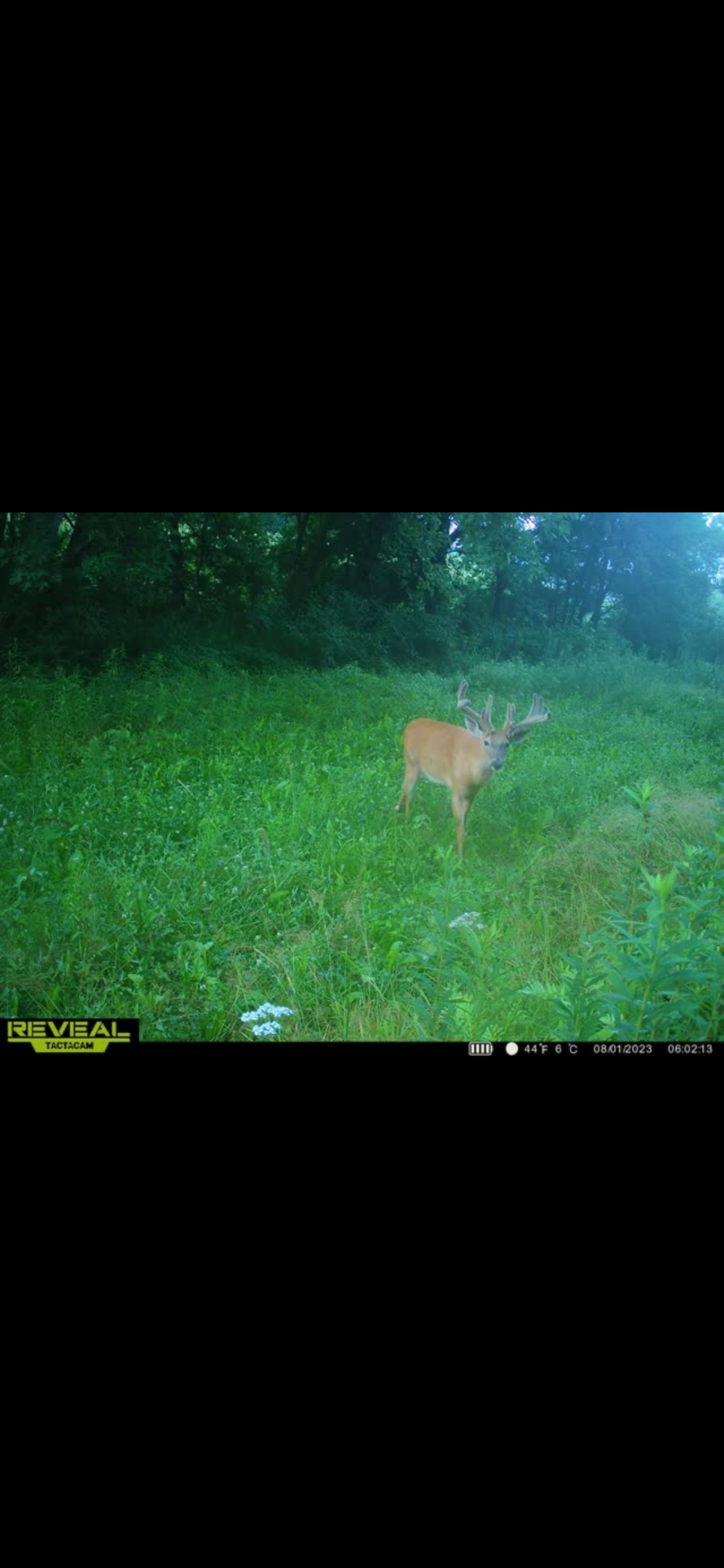 S870 Julson Ridge Road Independence, WI 54747 - Photo 28 of 44