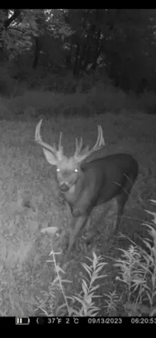 $499,900 | S870 Julson Ridge Road, Independence, WI 54747