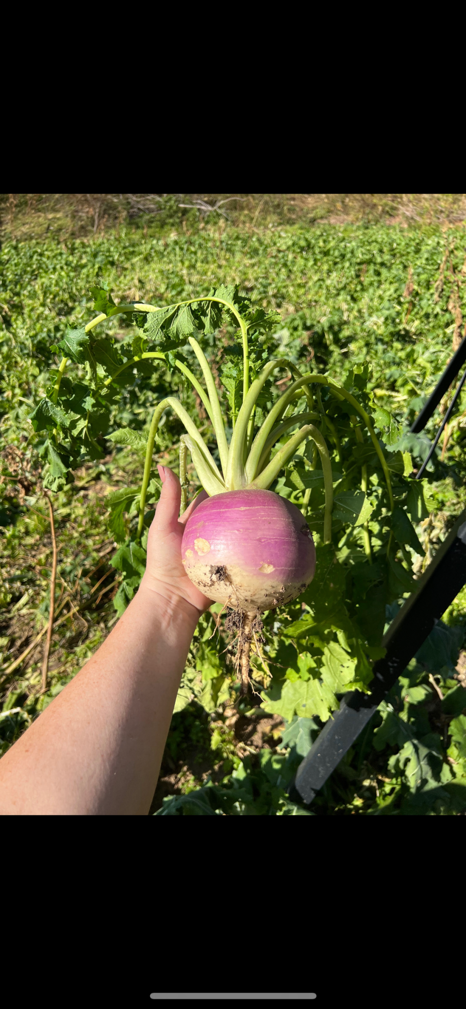 S870 Julson Ridge Road Independence, WI 54747 - Photo 30 of 44