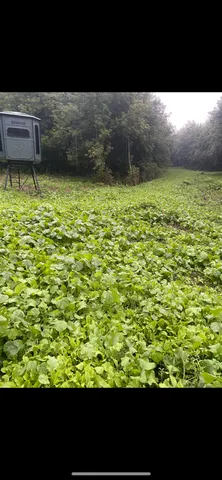 $499,900 | S870 Julson Ridge Road, Independence, WI 54747