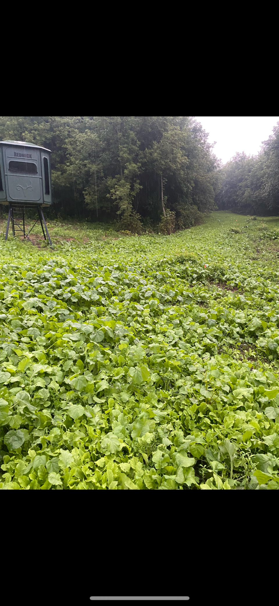 S870 Julson Ridge Road Independence, WI 54747 - Photo 31 of 44