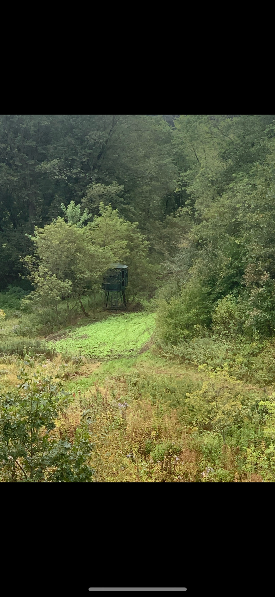 S870 Julson Ridge Road Independence, WI 54747 - Photo 32 of 44