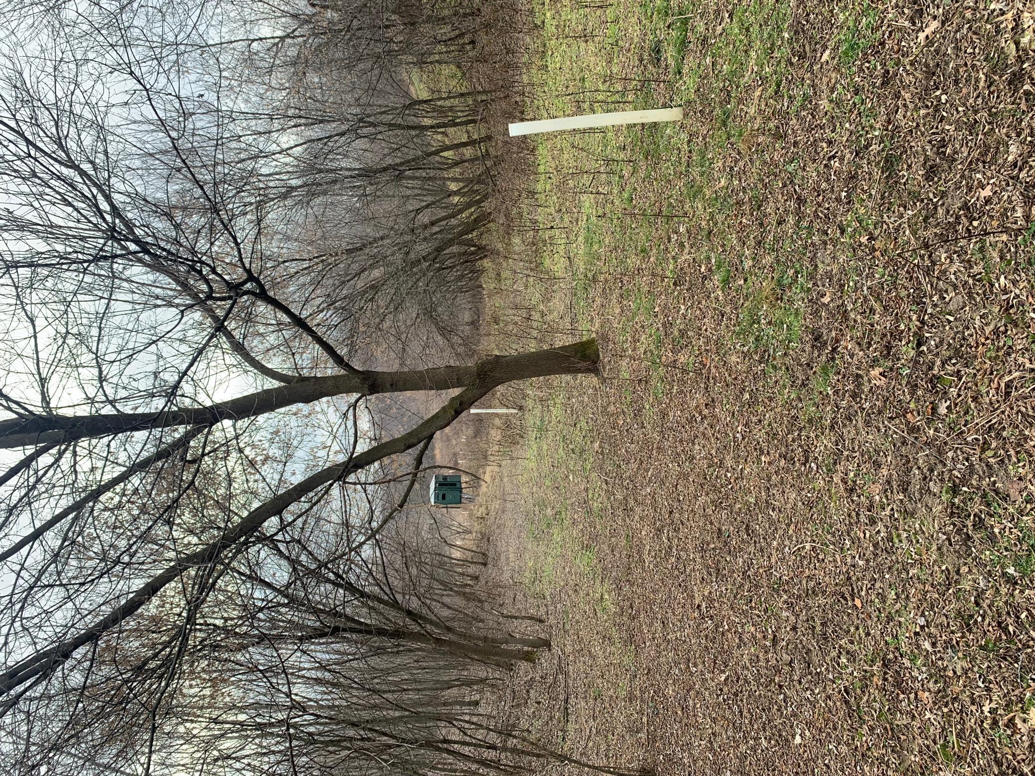 S870 Julson Ridge Road Independence, WI 54747 - Photo 33 of 44