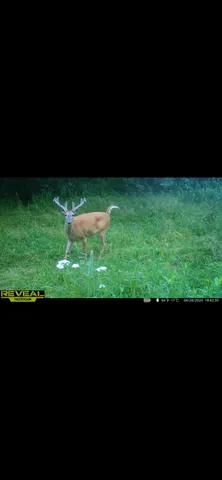 $499,900 | S870 Julson Ridge Road, Independence, WI 54747