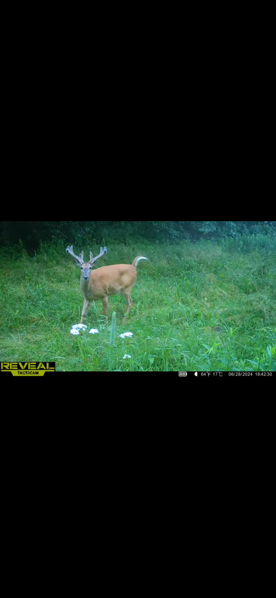 S870 Julson Ridge Road Independence, WI 54747 - Photo 36 of 44