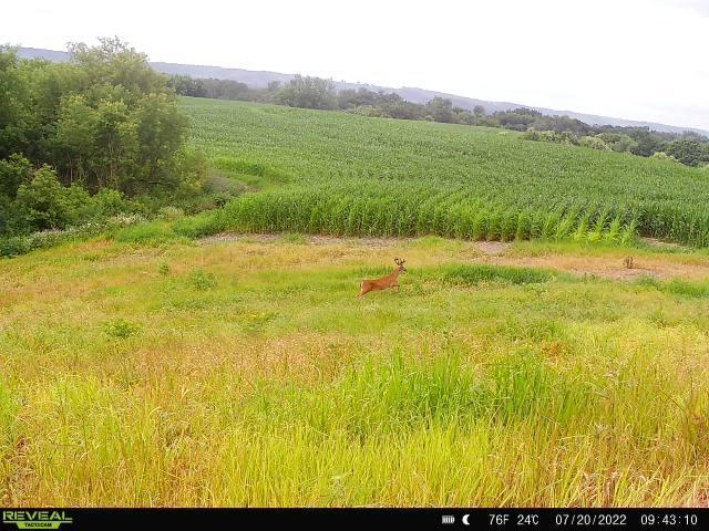 S870 Julson Ridge Road Independence, WI 54747 - Photo 37 of 44