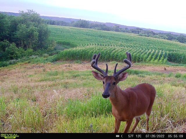 S870 Julson Ridge Road Independence, WI 54747 - Photo 38 of 44