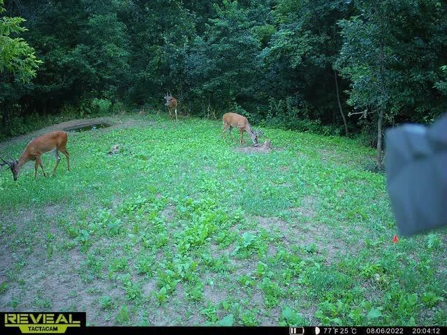 S870 Julson Ridge Road Independence, WI 54747 - Photo 39 of 44