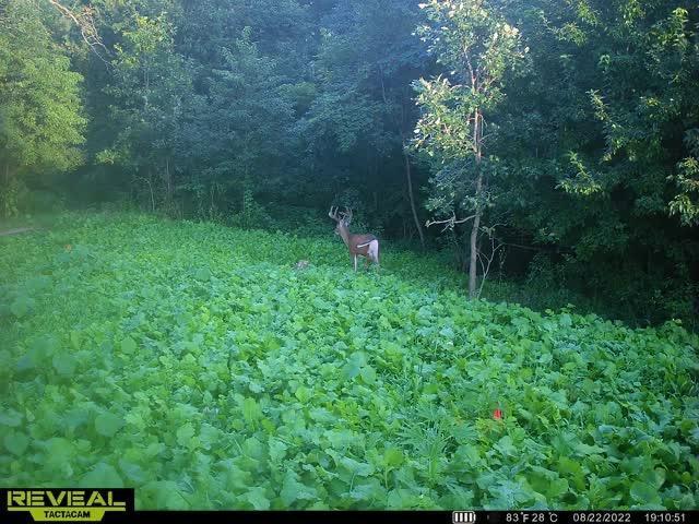 S870 Julson Ridge Road Independence, WI 54747 - Photo 40 of 44