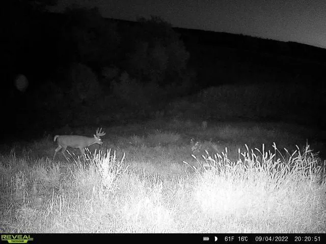 $499,900 | S870 Julson Ridge Road, Independence, WI 54747