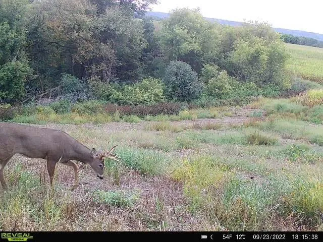 $499,900 | S870 Julson Ridge Road, Independence, WI 54747