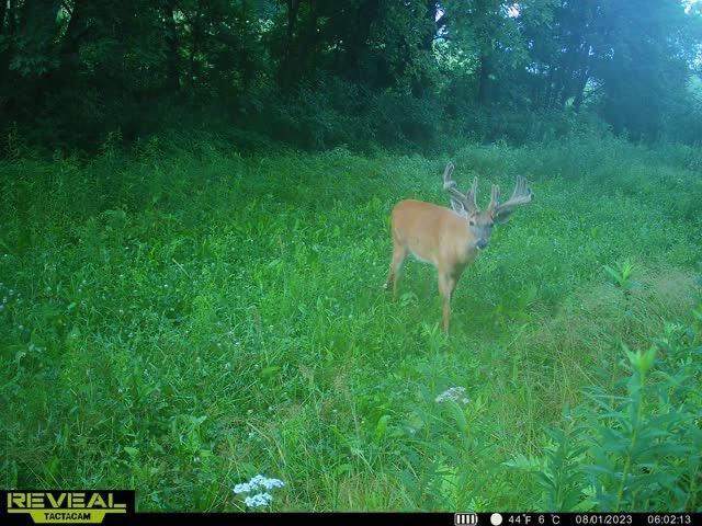 S870 Julson Ridge Road Independence, WI 54747 - Photo 43 of 44