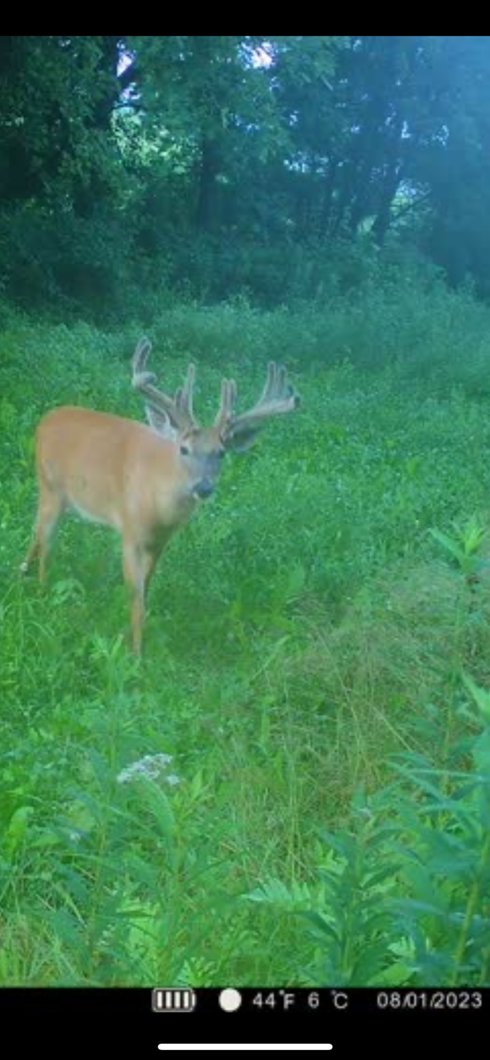 S870 Julson Ridge Road Independence, WI 54747 - Photo 44 of 44