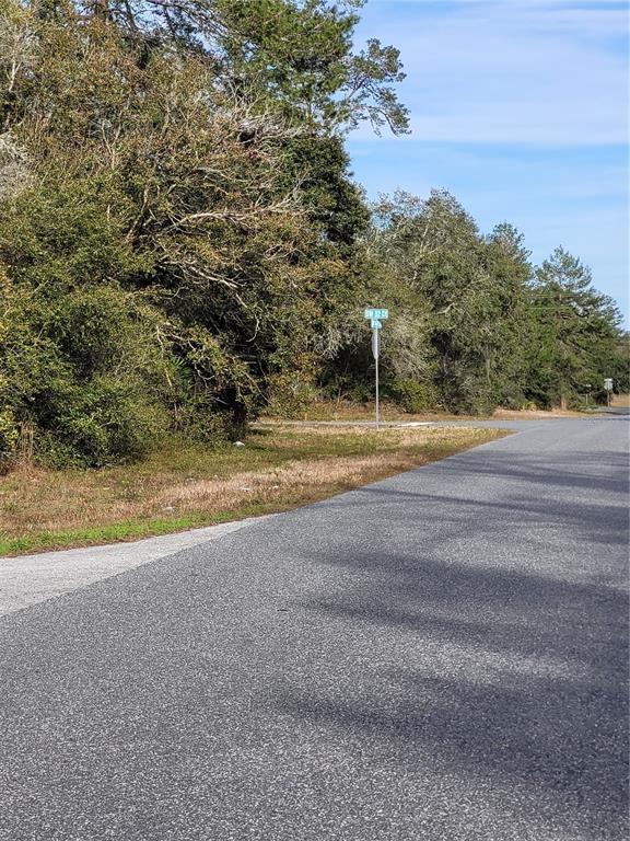 3 Southwest 145th Pl Road Ocala, FL 34473 - Photo 1 of 1 a view of a field with trees in the background