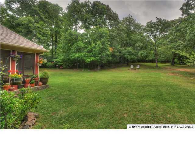 487 Sandy Ridge Road Byhalia, MS 38611 - Photo 27 of 30 Additional Photo