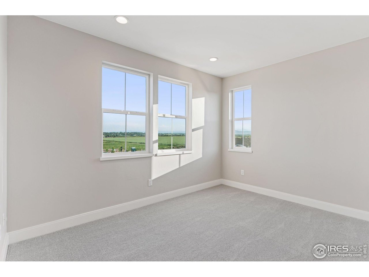 927 William Way Berthoud, CO 80513 - Photo 13 of 28 an empty room with windows and closet