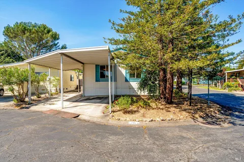 a view of a trees with a patio