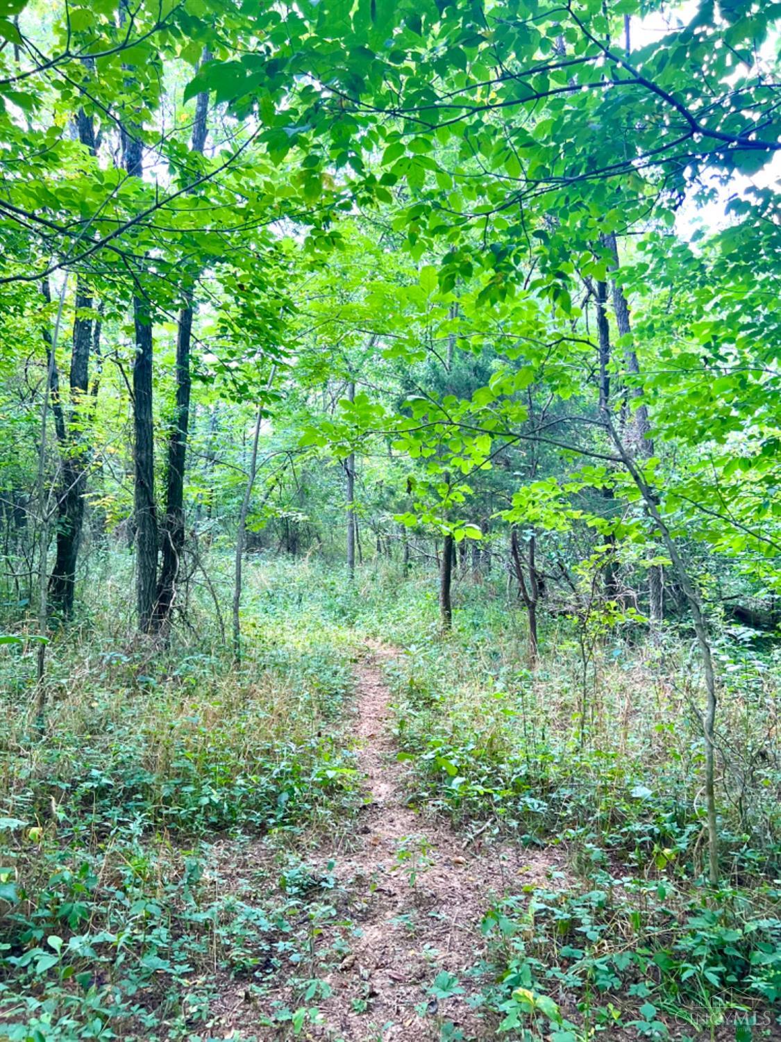 0 Brier Ridge Road West Union, OH 45693 - Photo 86 of 98