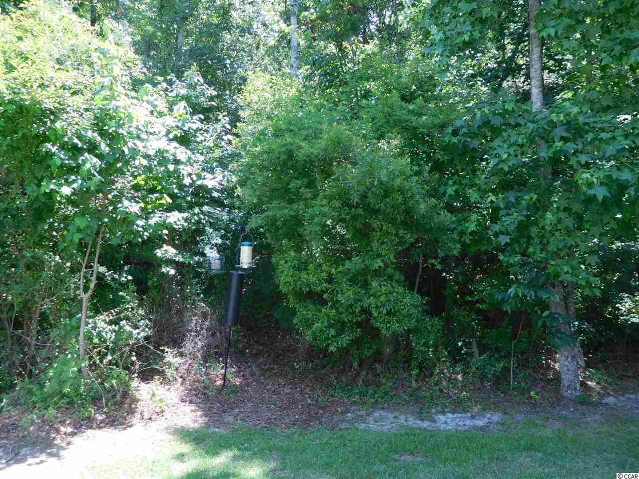 165 Gilman Road Pawleys Island, SC 29585 - Photo 20 of 35 Gallery Image 20