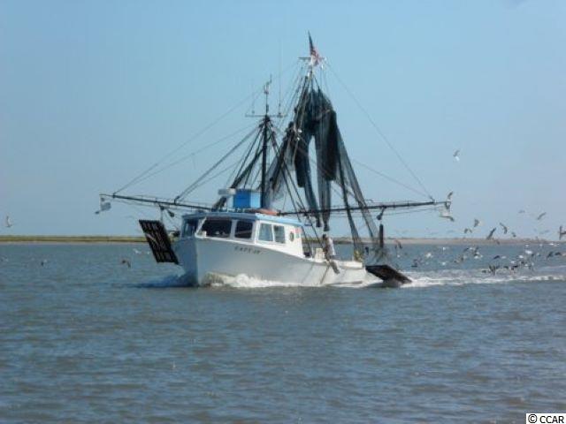 165 Gilman Road Pawleys Island, SC 29585 - Photo 26 of 35 Gallery Image 26