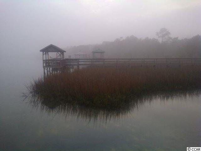 165 Gilman Road Pawleys Island, SC 29585 - Photo 29 of 35 Gallery Image 29