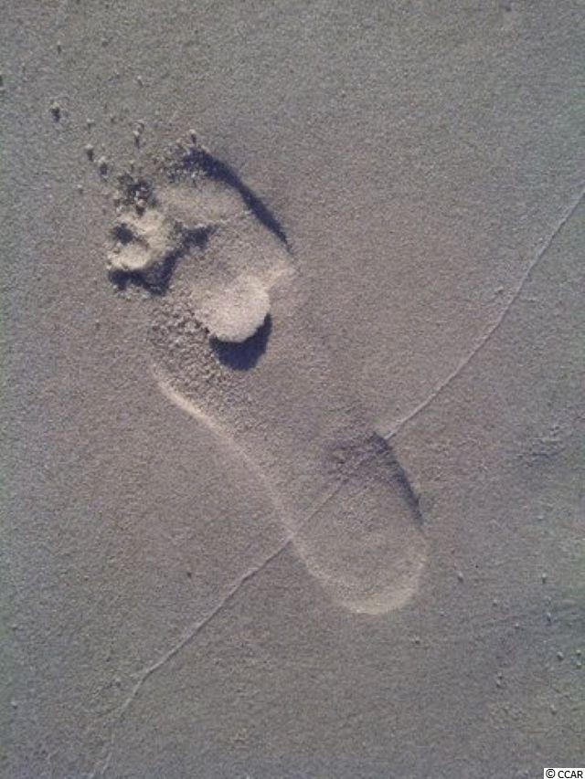 165 Gilman Road Pawleys Island, SC 29585 - Photo 30 of 35 Gallery Image 30