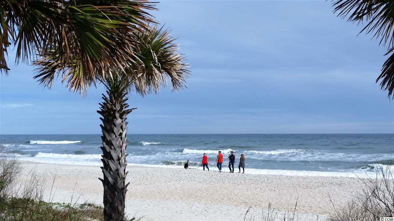 165 Gilman Road Pawleys Island, SC 29585 - Photo 35 of 35 Gallery Image 35