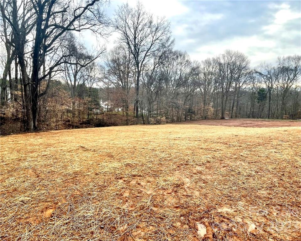 451 Hoover Road, Unit 1 Troutman, NC 28166 - Photo 25 of 28 Gallery Image 25