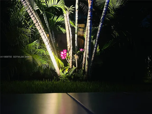 a view of a flower in a garden