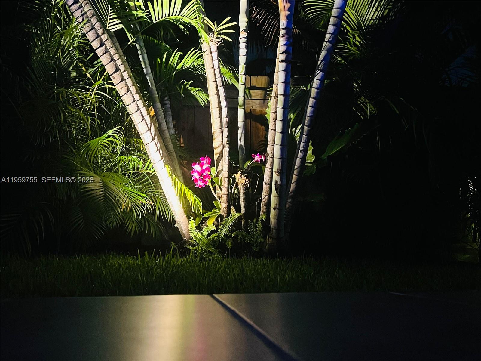 6705 Ficus Drive Miramar, FL 33023 - Photo 36 of 37 a view of a flower in a garden