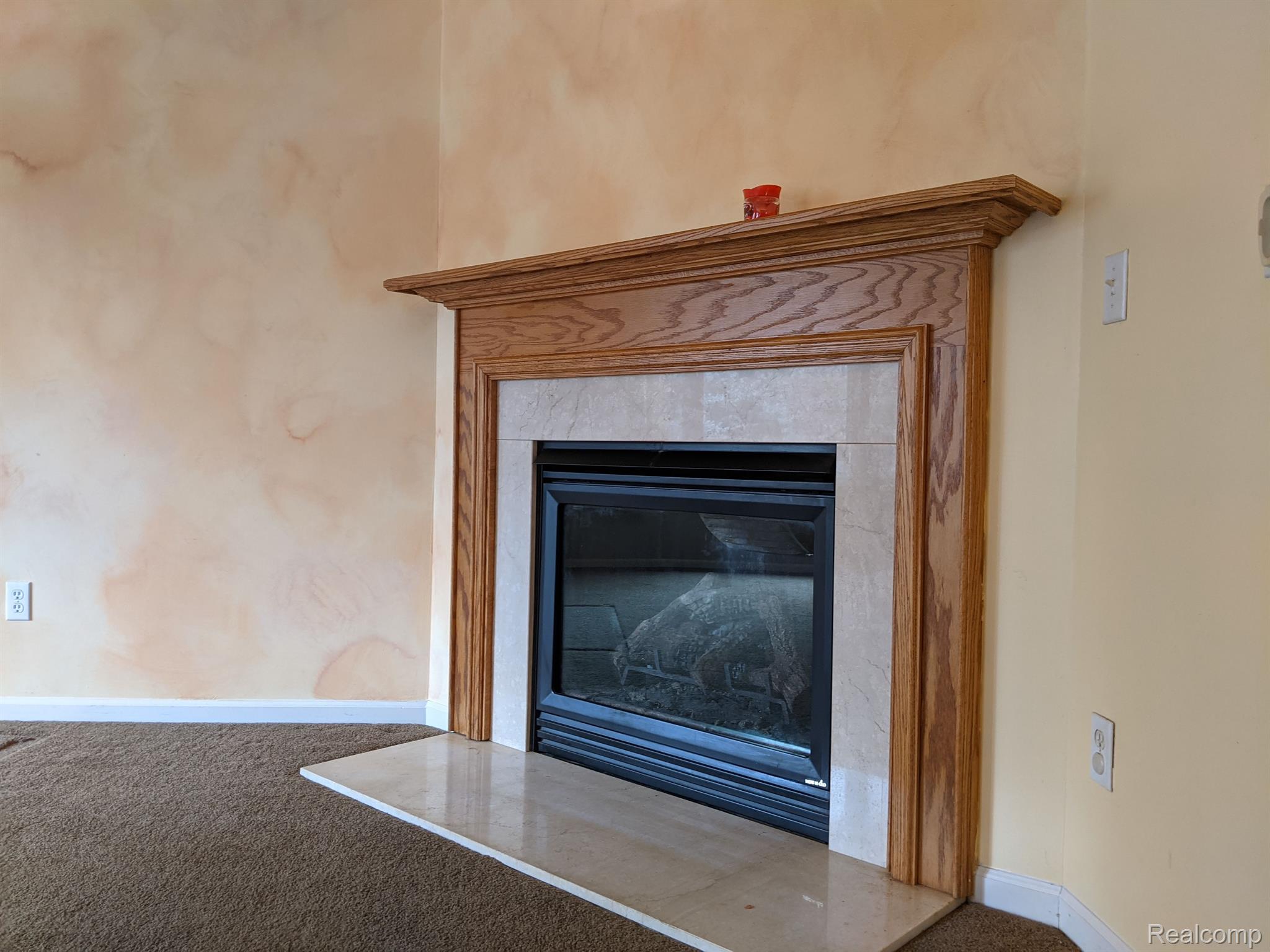 46218 Reedgrass Lane Belleville, MI 48111 - Photo 14 of 41 Gas fireplace
