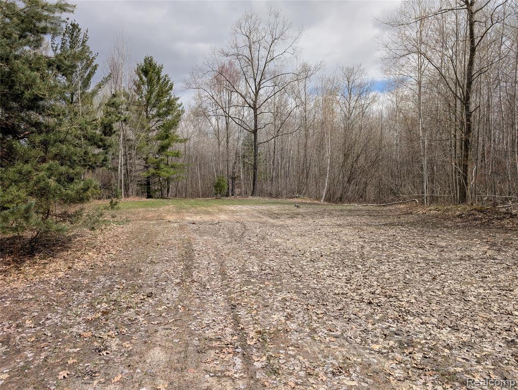 2889 Mill Station Road Hale, MI 48739 - Photo 30 of 33