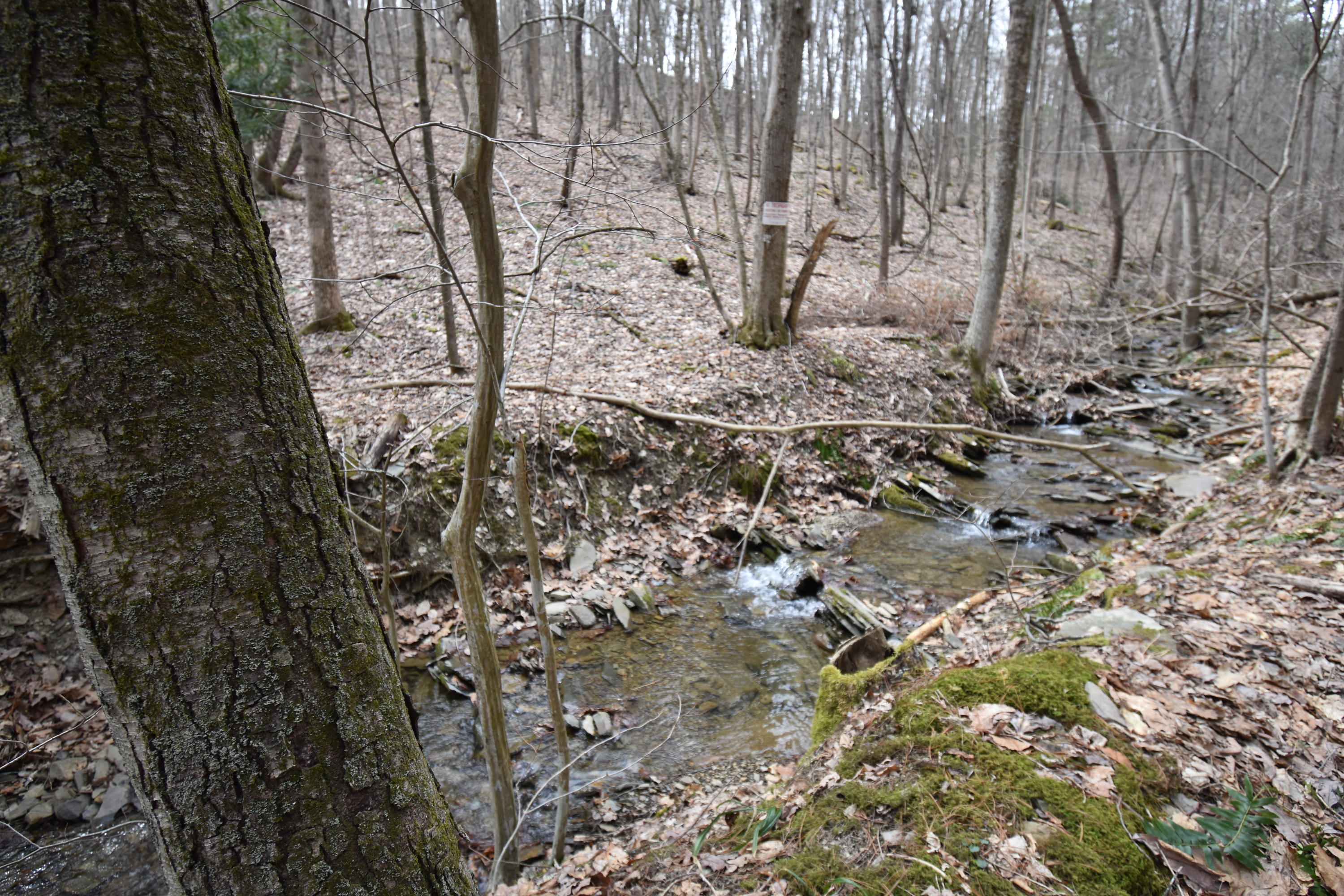 56 Pops Lane Mill Hall, PA 17751 - Photo 42 of 43 Gallery Image 42