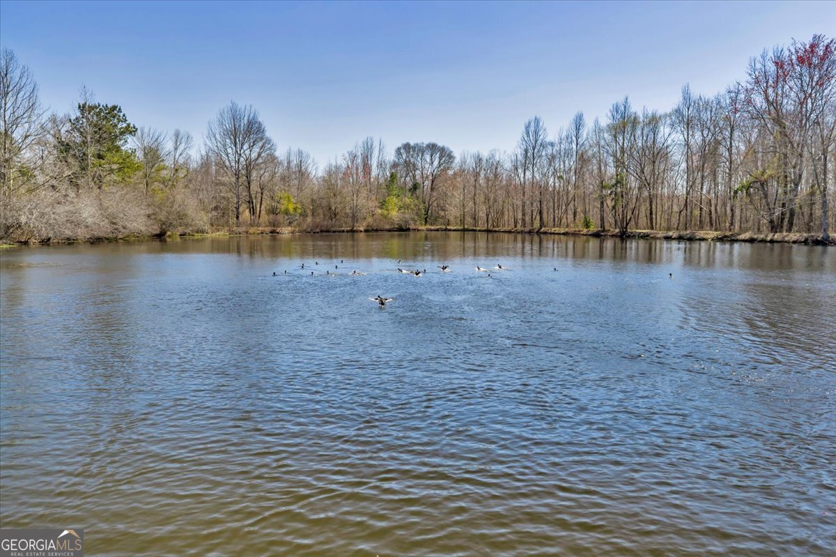 7329 Houston Road Macon, GA 31216 - Photo 12 of 46