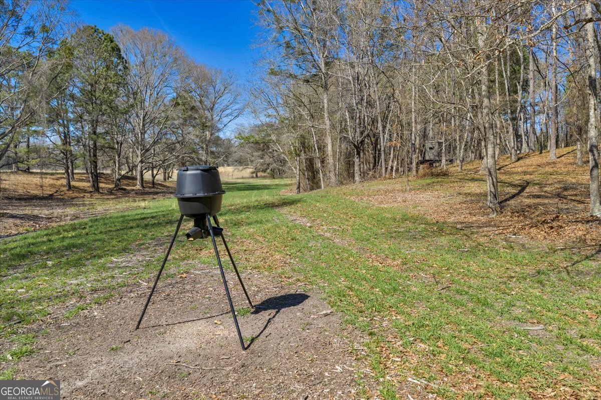 7329 Houston Road Macon, GA 31216 - Photo 25 of 46