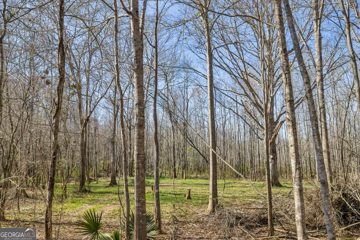 7329 Houston Road Macon, GA 31216 - Photo 35 of 46