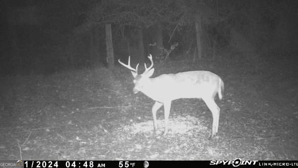 7329 Houston Road Macon, GA 31216 - Photo 39 of 46