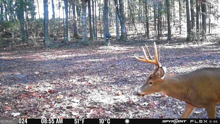 7329 Houston Road Macon, GA 31216 - Photo 40 of 46