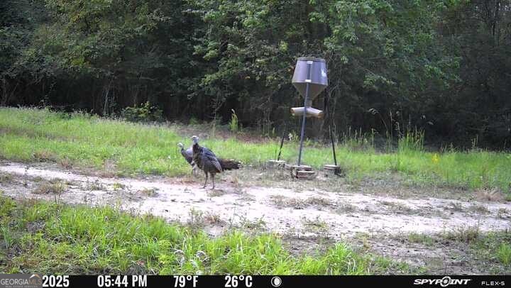 7329 Houston Road Macon, GA 31216 - Photo 45 of 46