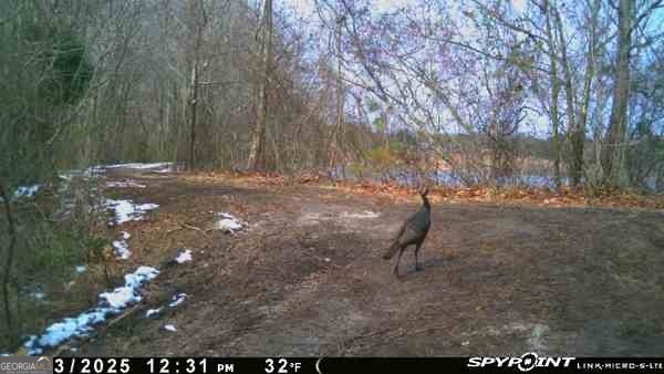 7329 Houston Road Macon, GA 31216 - Photo 46 of 46