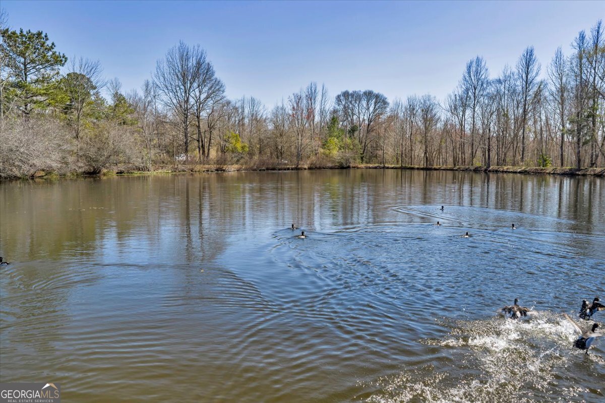 7329 Houston Road Macon, GA 31216 - Photo 7 of 46