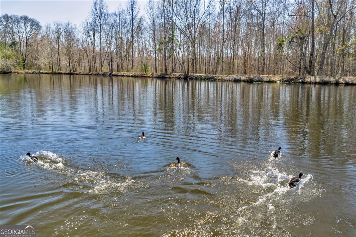 7329 Houston Road Macon, GA 31216 - Photo 8 of 46