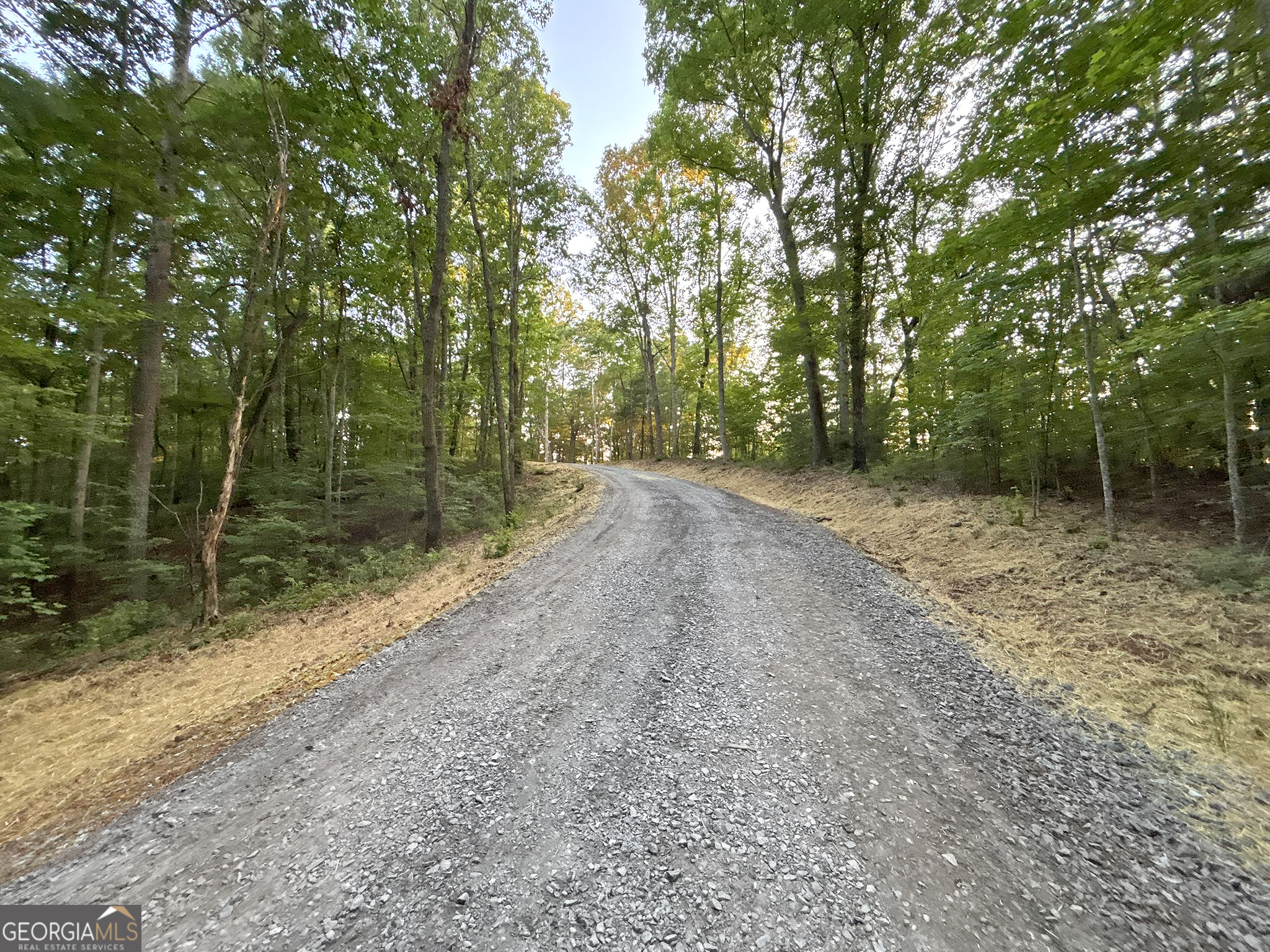 Lot 20 Mt Springer Road Ellijay, GA 30540 - Photo 21 of 32