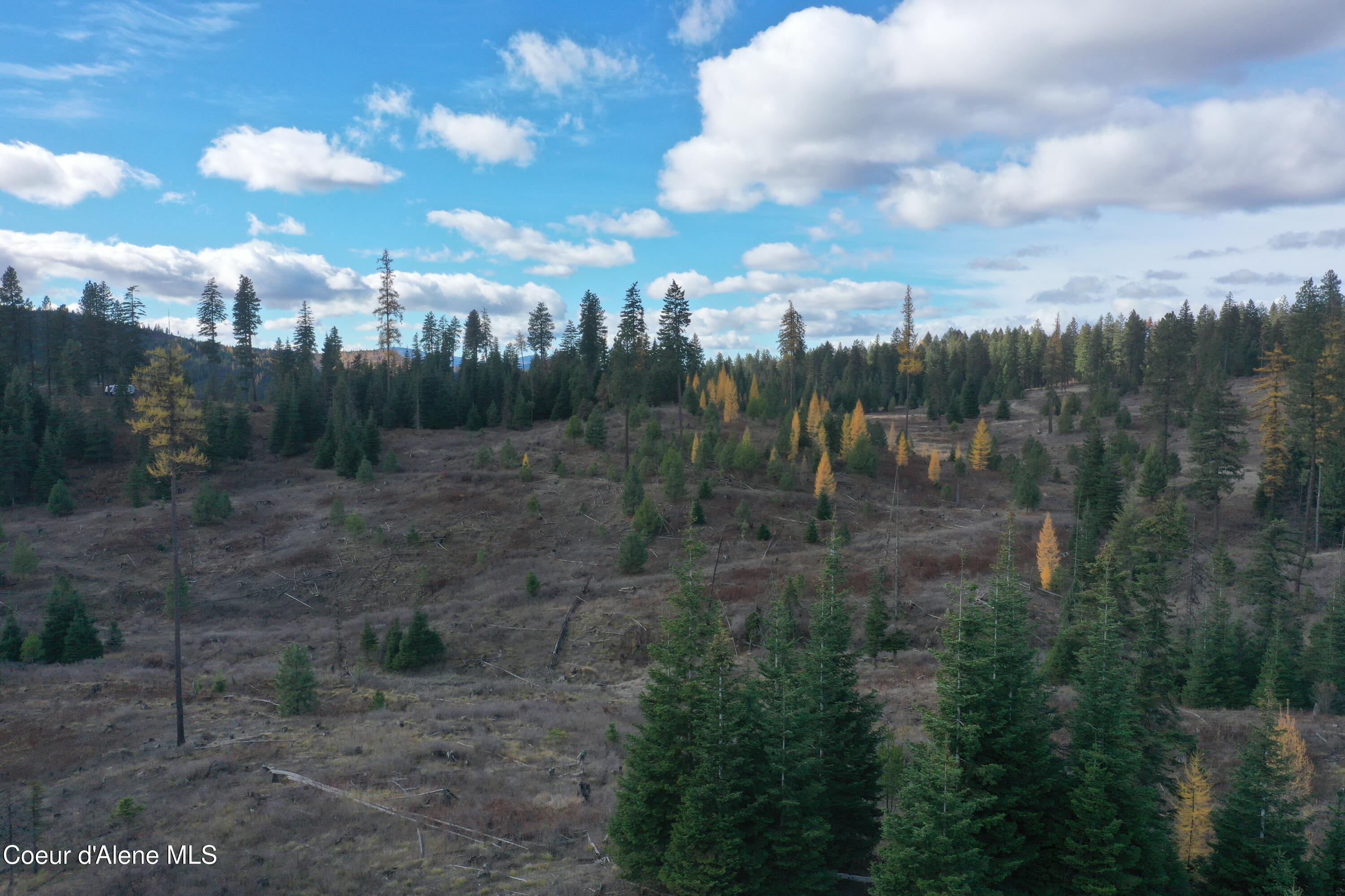 Nka Bugle Pt Road St. Maries, ID 83861 - Photo 2 of 10 DJI_0357
