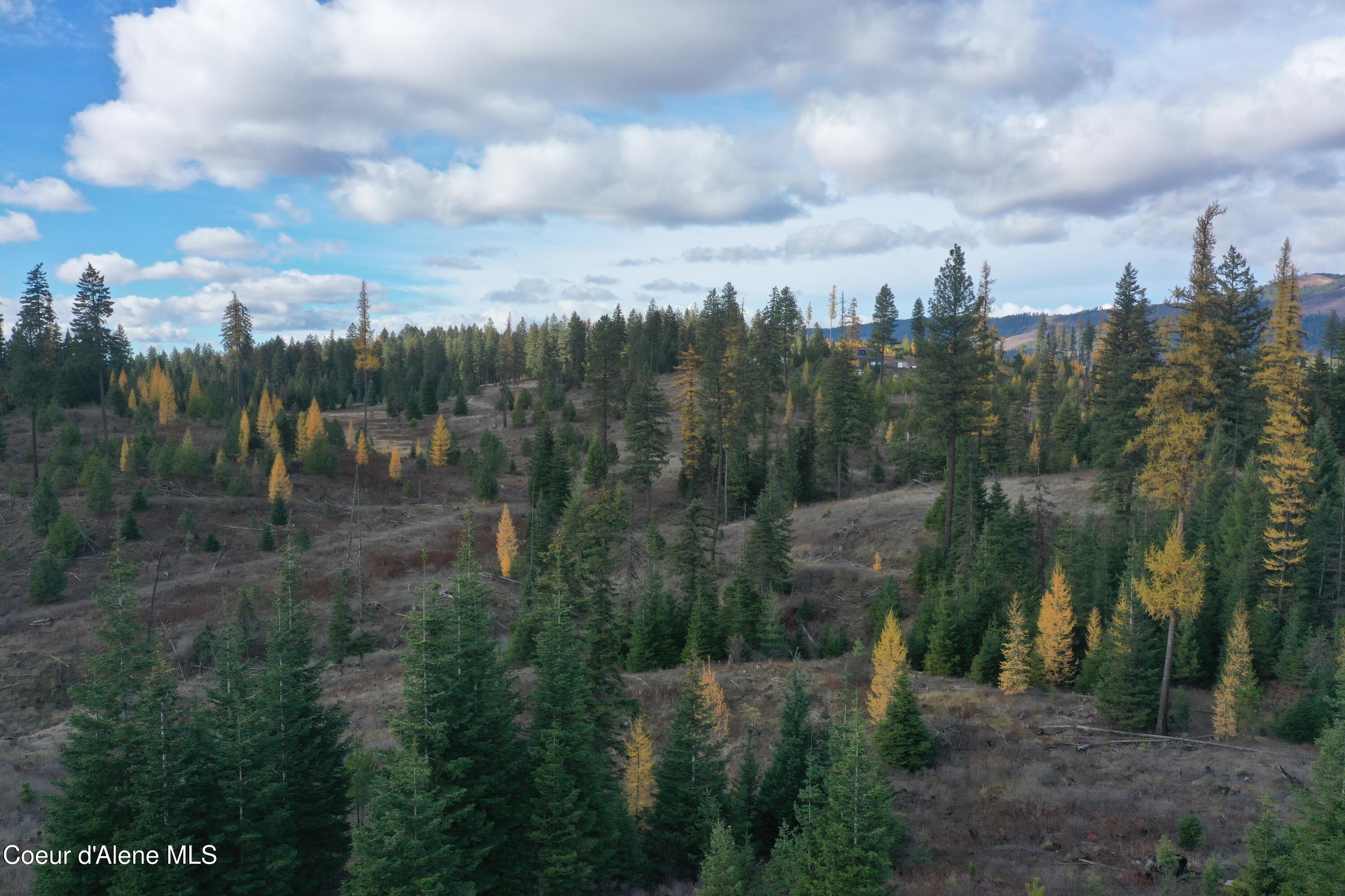 Nka Bugle Pt Road St. Maries, ID 83861 - Photo 3 of 10 DJI_0358
