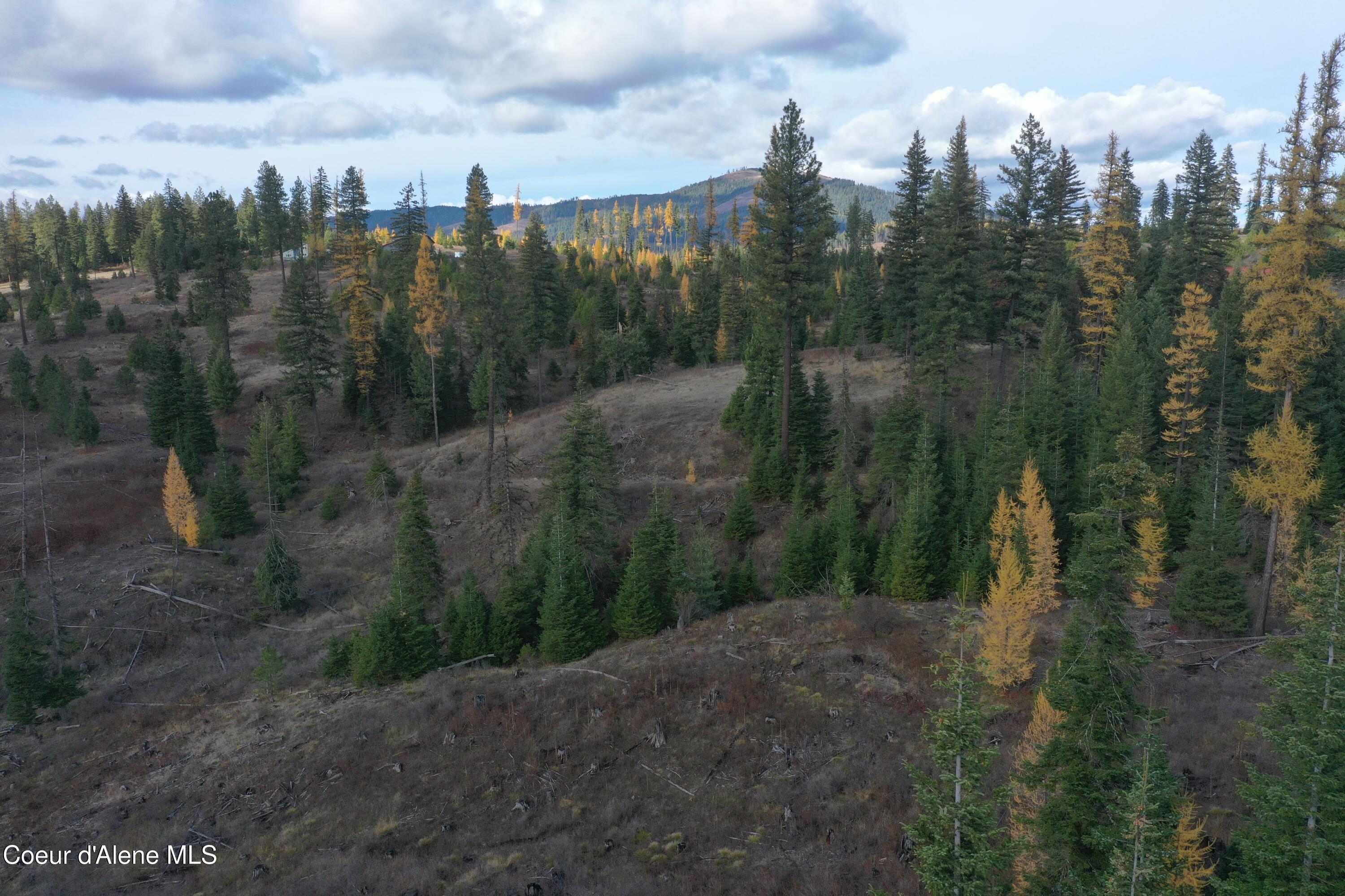 Nka Bugle Pt Road St. Maries, ID 83861 - Photo 4 of 10 DJI_0359
