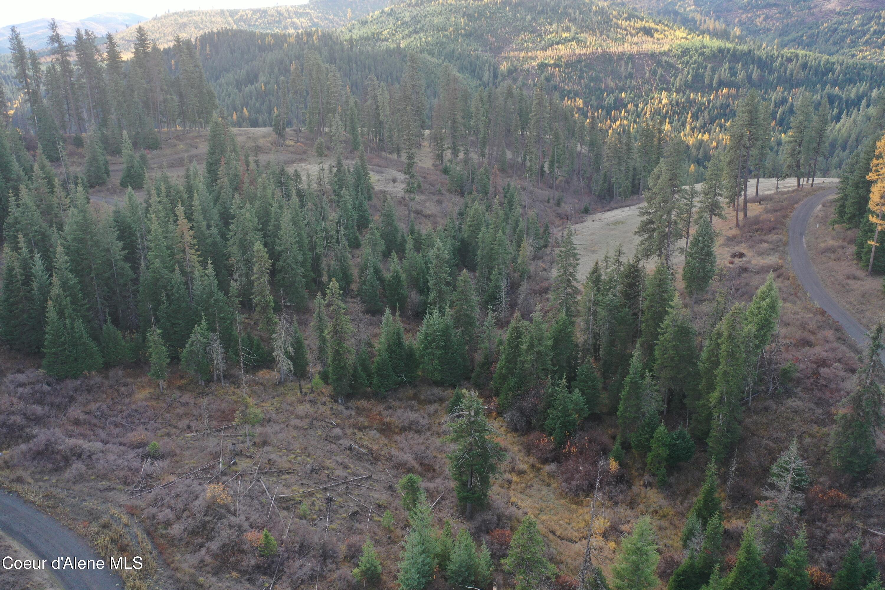 Nka Bugle Pt Road St. Maries, ID 83861 - Photo 6 of 10 DJI_0362