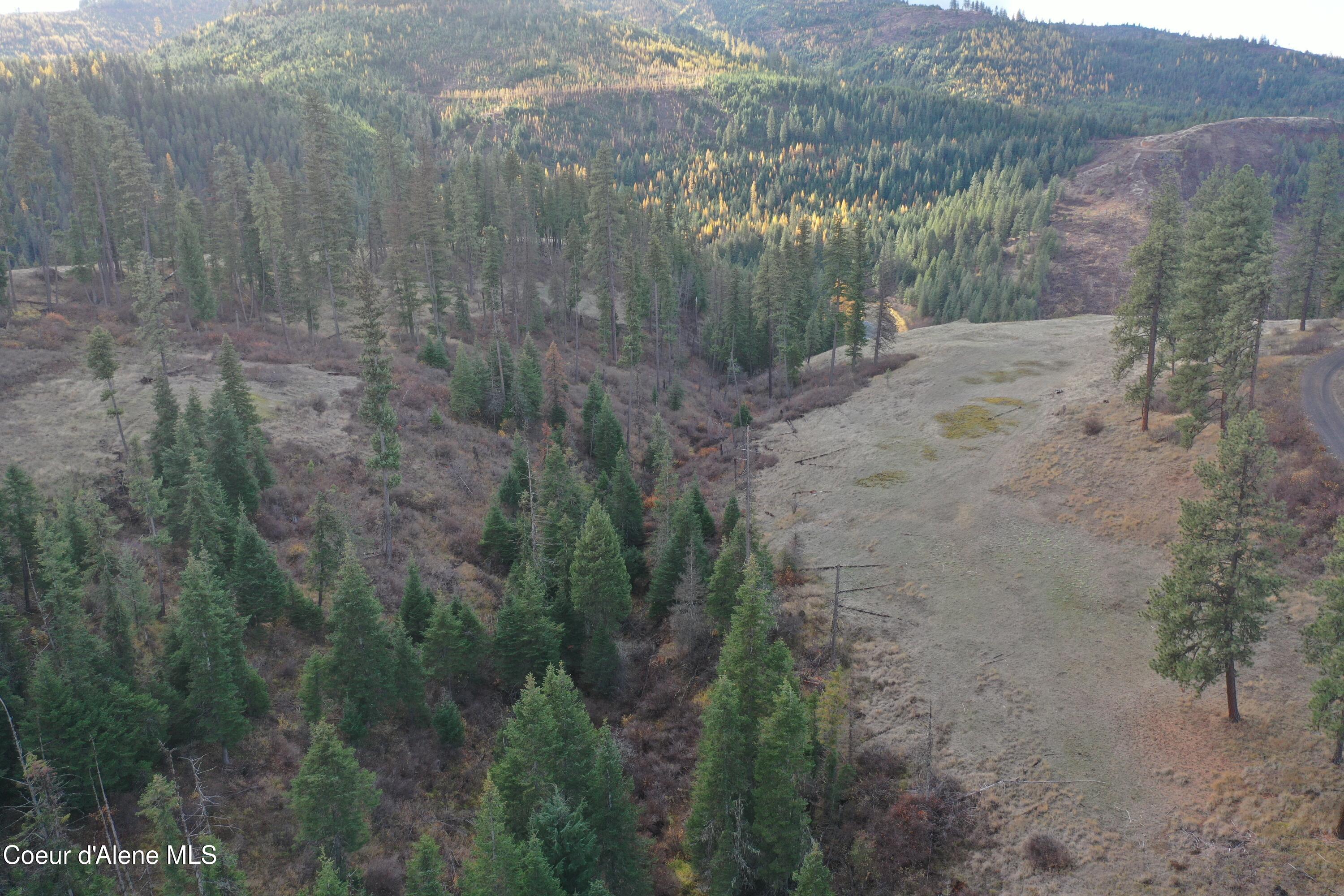 Nka Bugle Pt Road St. Maries, ID 83861 - Photo 7 of 10 DJI_0363
