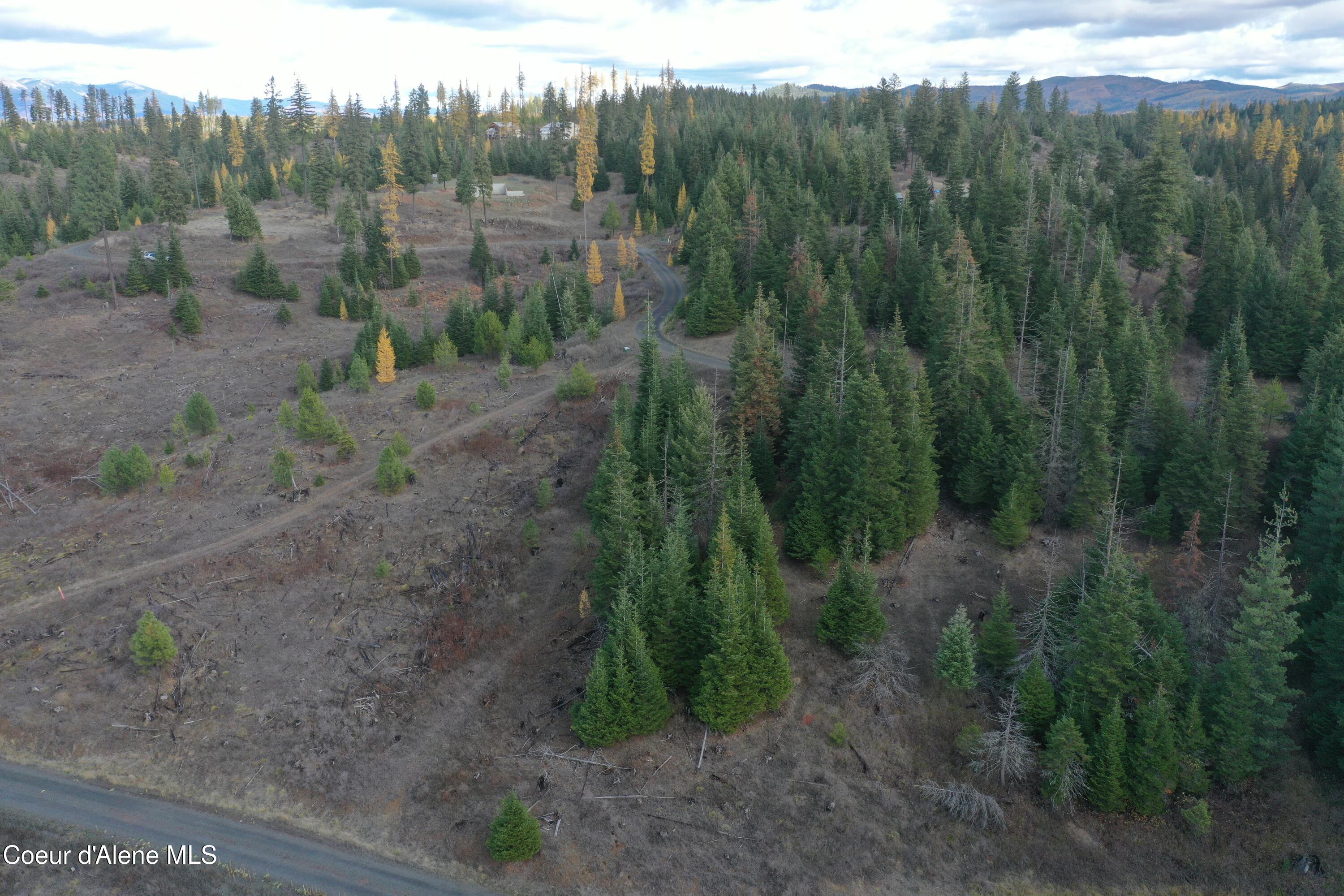 Nka Bugle Pt Road St. Maries, ID 83861 - Photo 9 of 10 DJI_0367